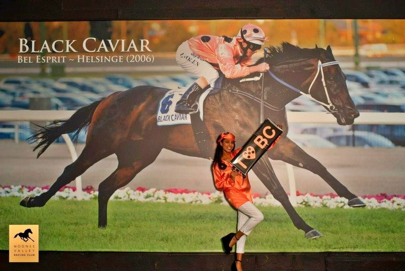 Black Caviar banner skin @ Moonee Valley Racing Club